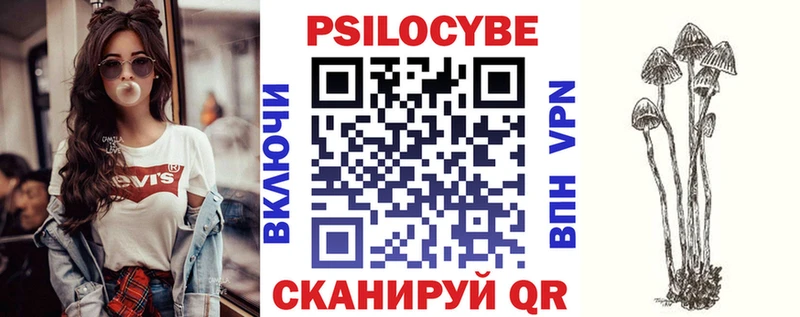 Галлюциногенные грибы Psilocybine cubensis  Купить  Злынка 